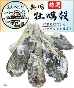 YIyk M ANAE _J  Mы C   PH EL _h~ (10)