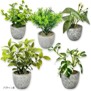 tFCNO[ ϗtA  5_Zbg G} ~j CeA  TCY   lHA (O[, p^[B)