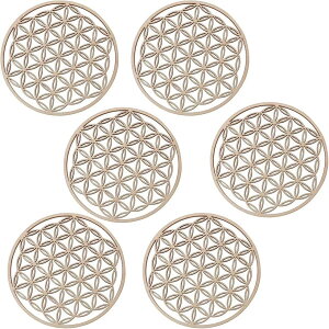 _􉽊w͗l R[X^[ ؐ Rbv~ ~` k 6Zbg  R[q[ OX IV CeA (i`, )