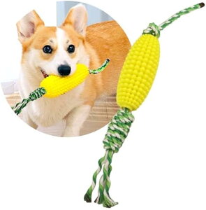 pf^PA pނ R[^[vgC TPRf ^`^p(CG[)