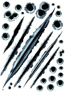 e XebJ[ e 낢 ԗp oCN X[cP[X fJ[ V[ hA  (B)