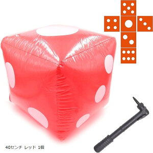 XPfUC W{TCR 傫TCR r[`{[  rbO r[`{[(40Z` bh 1, 40cm)