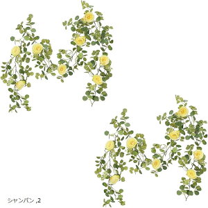 ϗtA o tFCNO[ A CeA  G K[h Ǌ| nMO lHϗtA [J (Vp 2, FREE)