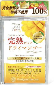 sgp nsA hC}S[ 100g 2Lȏ̑ʃTCYgp FȍƎRȊÂ 16̉h{Ïk hCt[c PI~[g `bNt(1)