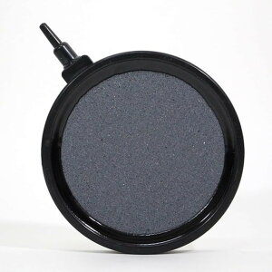 GAXg[ ouXg[ C ANAE GA[[V GA[Xg[ _f GA[ Mы ሳ É ׂA ^ _f⋋ (ubN)