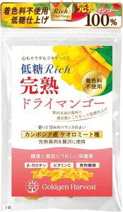 ᓜRichn hC}S[ 500g ił莩RȊÂ nʓґgp EUᓜKiɓK FEsgp hCt[c PI~[g `bNt (1)