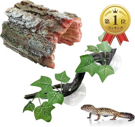 【楽天ランキング1位入賞】爬虫類 シェルター レオパ トカゲ カナヘビ ヤモリ 隠れ家 流木 登り技 樹皮 トンネル テラリウム セット (ウッドカラー)