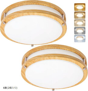 LED V[OCg ؖڒ 24W Fx3000K-6000K ^b`t VƖ  a/m/Q//rO/Lb`Kp(zCg, 6(2))