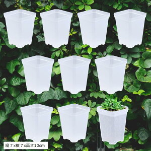  Xbg Aؔ ϗtA vX`bN c |bg 10Zbg (NA, c7x7x10cm)