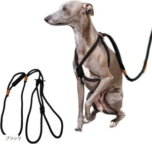 yyVLO1ʓ܁zXbv[vn[lX fRs ObY Ȃn[lX ubN (ubN, )