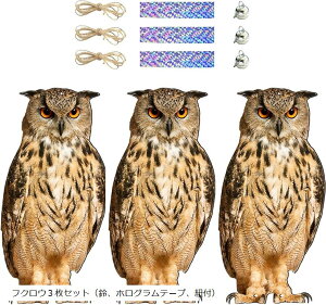 悯 h 悯ObY Q΍ObY ݂艺 悯 JX x_ ʎ ƒ؉  b(tNE3ZbgiAzOe[vARtj)