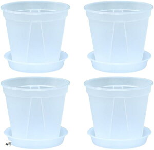 Aؔ  vX`bN Xbg Mt 4Zbg(NA, 4)