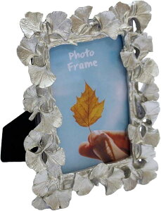 tHgt[ ʐ^  tHgX^h ʐ^c LO j AeB[N N-PF009 (Vo[)