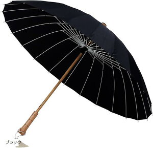 aP a y 24{  J p ~J ΍ ؐ 茳 P amP JP ԎP  ϕ OXt@Co[ (ubN)