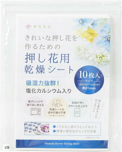 ԃLbg pV[g JԂg JVE V[g10 (u[)