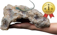 【楽天ランキング1位入賞】爬虫類 レオパ シェルター トカゲ カナヘビ 亀 ロックシェルター 爬虫類シェル…