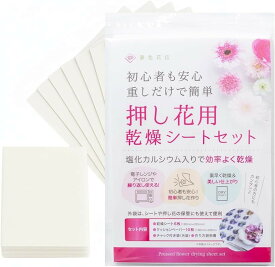 日本ヴォーグ社認定講師監修 押し花キット 乾燥シートセット 乾燥シート6枚 クッションペーパー10枚 1冊 (ピンク)