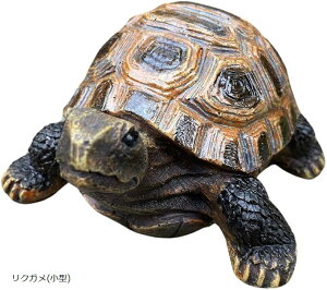 T J ^[g u  K[fjO K[f IuWF CeA  I[ig A v[g Mtg (NK(^))