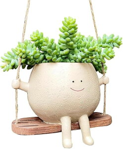 nMOv^[ Ί Aؔ A ϗtA IV ݂蔫  (i`, 11cm)