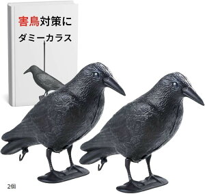 Q  ObY JX 悯  ΍  u x_ ͂ ݂邷 S~  ؉ (, 2)