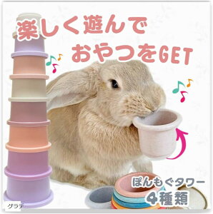   X^bLOJbv VтȂ炨GET ۂ񃂃O (Of)