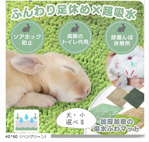  }bg gC \AzbN @OK x߁gCPA𗼗B (40x60ixWO[j)