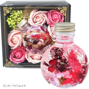 n[oE v[g t[Mtg  蕨 LO a vU[uht[ j \[vt[ (sNECbh)