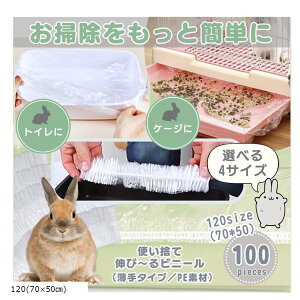  gC P[W |p Jo[ V[g ĝ e 100 PEf ^Cv(, 120(70x50cm))