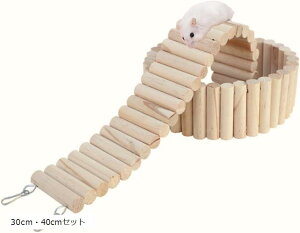 Uccellino ͂ 2Zbg nX^[ ݂苴 d؂ Ki ؐ ό` 8cm `` ubW (x[W, 30cmE40cmZbg)