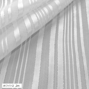 XgCv VtH n P Vo[  | z  Y  (zCg2, 2m)