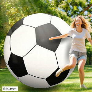  TbJ[{[ r[`{[ 傫 W{ }X|[c V (TbJ[, a150cm)