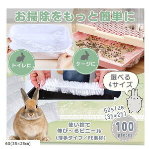  gC P[W |p Jo[ V[g ĝ e 100 PEf ^Cv(, 60(35x25cm))