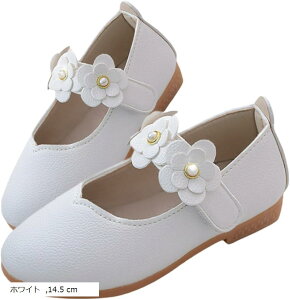 hXV[Y tH[}V[Y q C  `[t LbY K[Y ̎q   ܎O ʊw w  \ t y vZX (zCg, 14.5 cm)