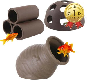 yyVLO1ʓ܁zANAE  B y gl Gr  _J hWE E[p[[p[ ^Rc{ IuWF 3Zbg (uE)