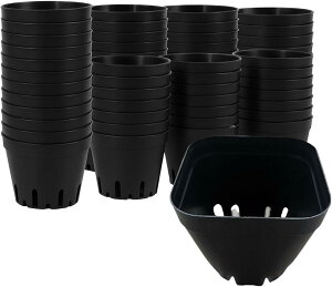 c|bg Xbg ƒ؉  A vXe 50Zbg (ubN, 6.3x6.3x5.3cm)