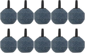 ی^ GAXg[ ׂA  GA[|v ANAE 2.5cm 10Zbg (J[, 2.5cm)