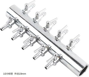 GA`[u GA[RbN  10 XeX GA[  ANAE Mы P (Vo[, 10 Oa19mm)