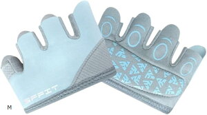 g[jOO[u fB[X ؃g tBbglX  (pXeu[, M)