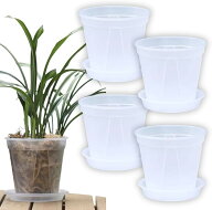 植木鉢 透明 プラスチック スリット鉢 ポット おしゃれ オーキッドポット 受け皿付き 4個セット (クリア,…