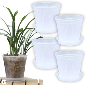 Aؔ  vX`bN Xbg |bg  I[Lbh|bg 󂯎Mt 4Zbg (NA, 5)