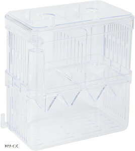 AllBright  ɐBu{bNX  z Y  2i Obs[ Gr _J (NA, MTCY)