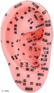 yyVLO1ʓ܁z ͌^ ڃV[ ڃWG[ K ObY c{ wZ wK l̖͌^ c[ 13cm(ږ͌^)