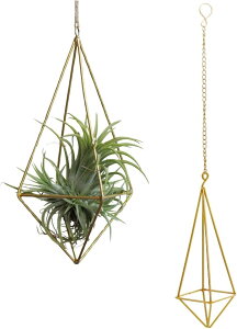 vgnK[ GAvc vgz_[ ݂邷 |bN O (S[h, S48.5x8cm)