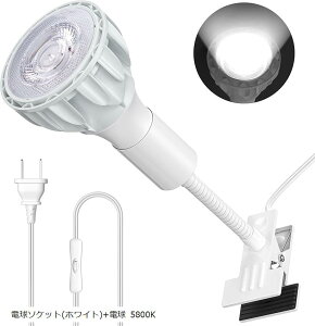 Nbvv 24W A琬v F RA98 tXyNg A琬𖞑 (zCg, O[XlbN 13.5CM XCb` 1.65M)