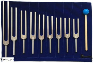 yyVLO1ʓ܁zNX^`[i[  q[O ґz K x[Xt (S[h, 9{Zbg)