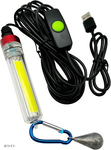 W LEDCg USB AW ^`EI oCobe[Ή  t 5m  ނ Cނ WCg (zCg)