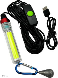 W LEDCg USB AW ^`EI oCobe[Ή  t 5m  ނ Cނ WCg (O[)