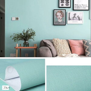 ǎV[ fB 10m ͂  DIY ǎV[g  h CNV[g EH[XebJ[(u[, 60CMx10M)