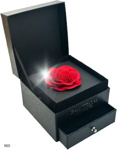 ROSE BOX \[vt[ ԑ LO j NX}X KN o v[g Mtg   v|[Y a җ ̓ ̓ bZ[WJ[h VbvobOt Zbg(RED, 0