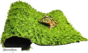 爬虫類 床材 マット 保温 保湿 シート 飼育 緑 テラリウム a174 (グリーン, 20cmx25cm)